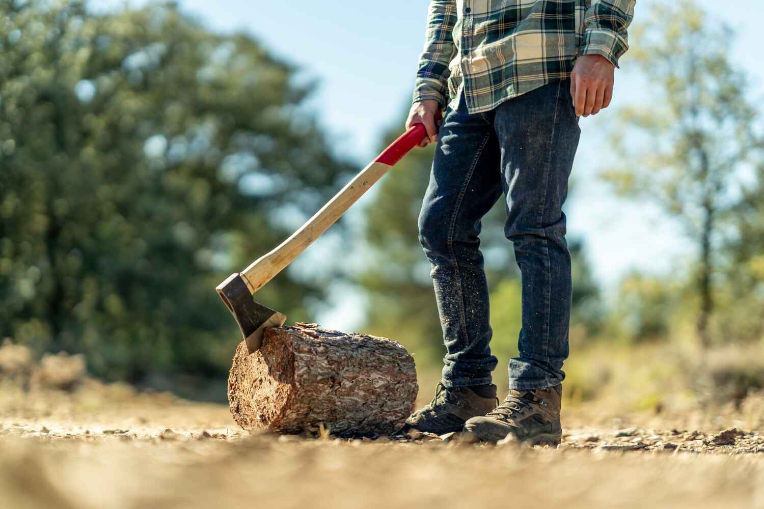 Best Tree Branch Trimming  in Mountain View, HI